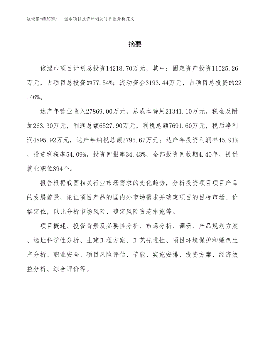 湿巾项目投资计划及可行性分析范文_第2页