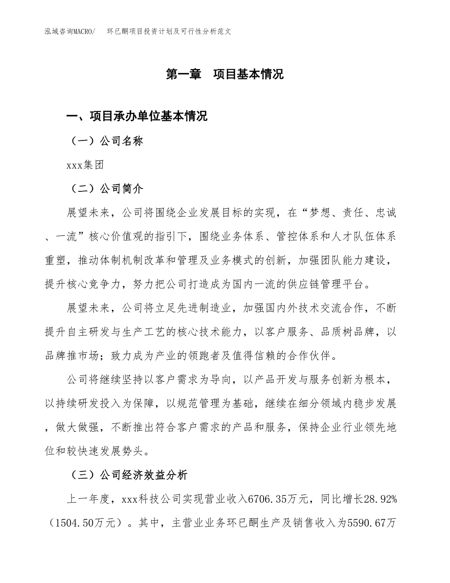 环已酮项目投资计划及可行性分析范文_第4页