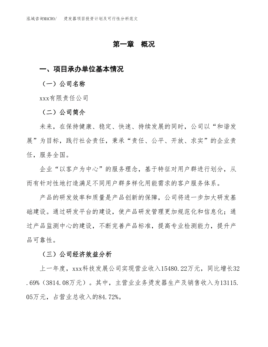 烫发器项目投资计划及可行性分析范文_第4页