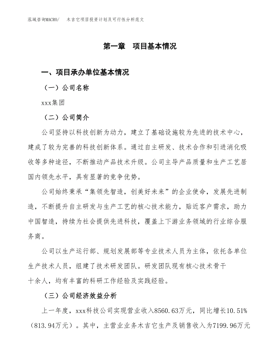 木吉它项目投资计划及可行性分析范文_第4页