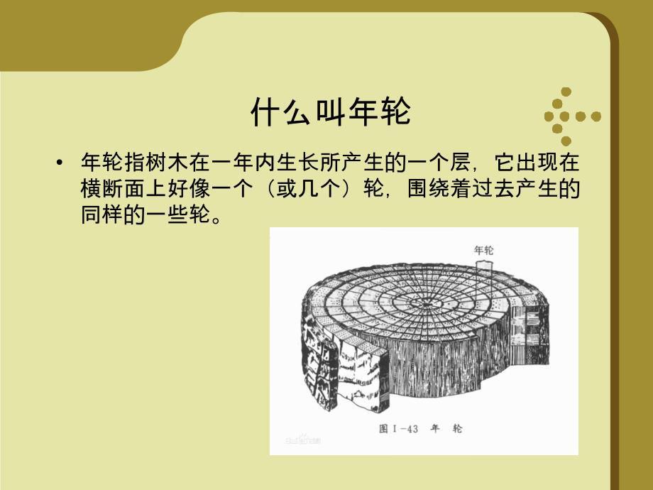 介绍树木年轮_第3页