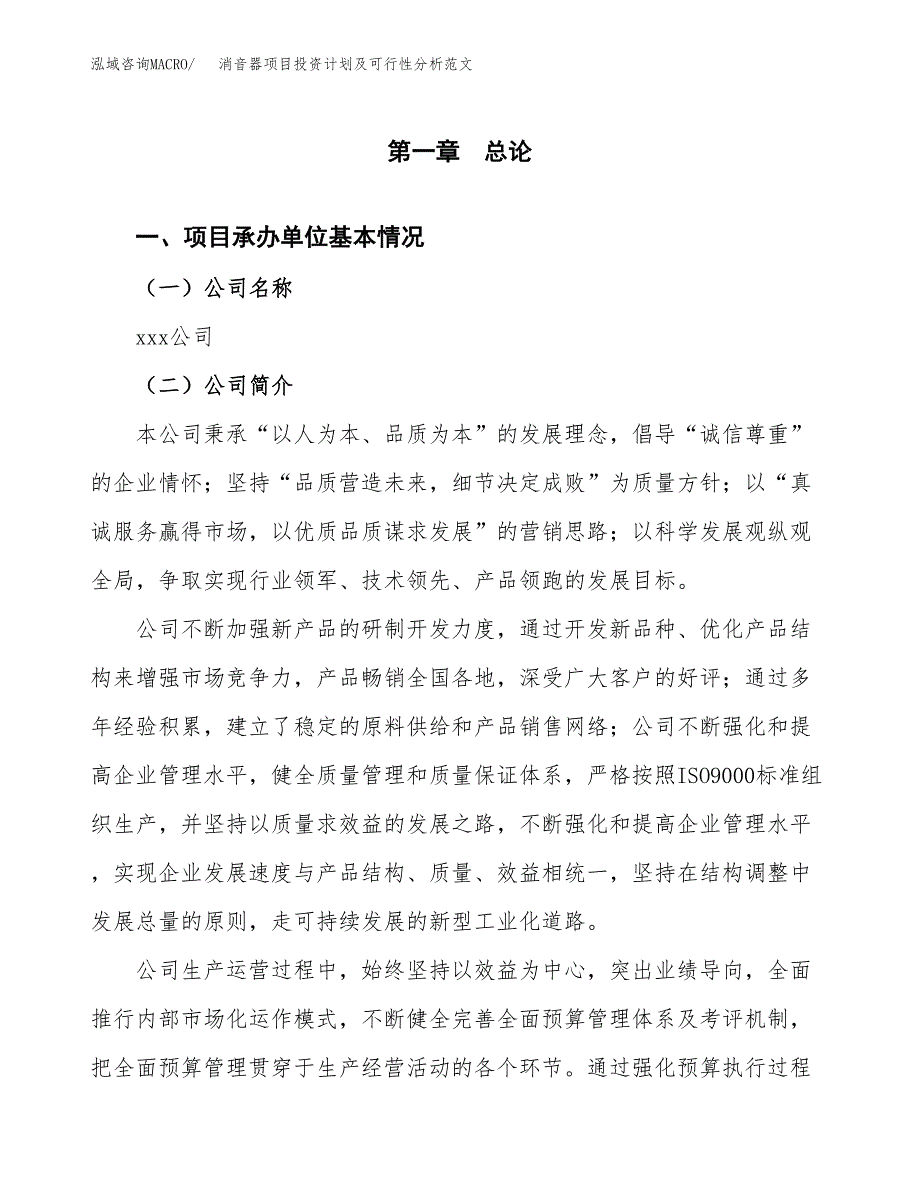 消音器项目投资计划及可行性分析范文_第4页