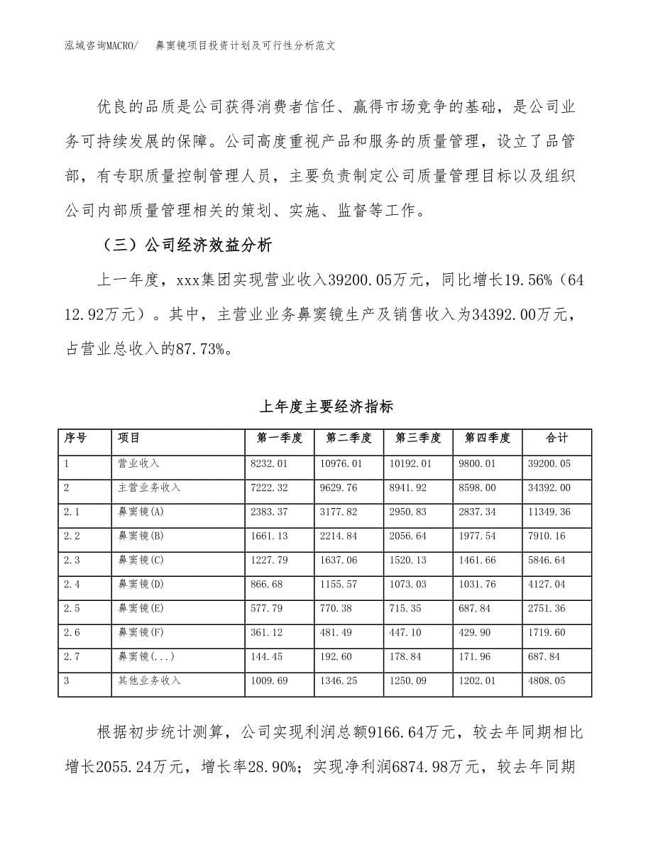 鼻窦镜项目投资计划及可行性分析范文_第5页