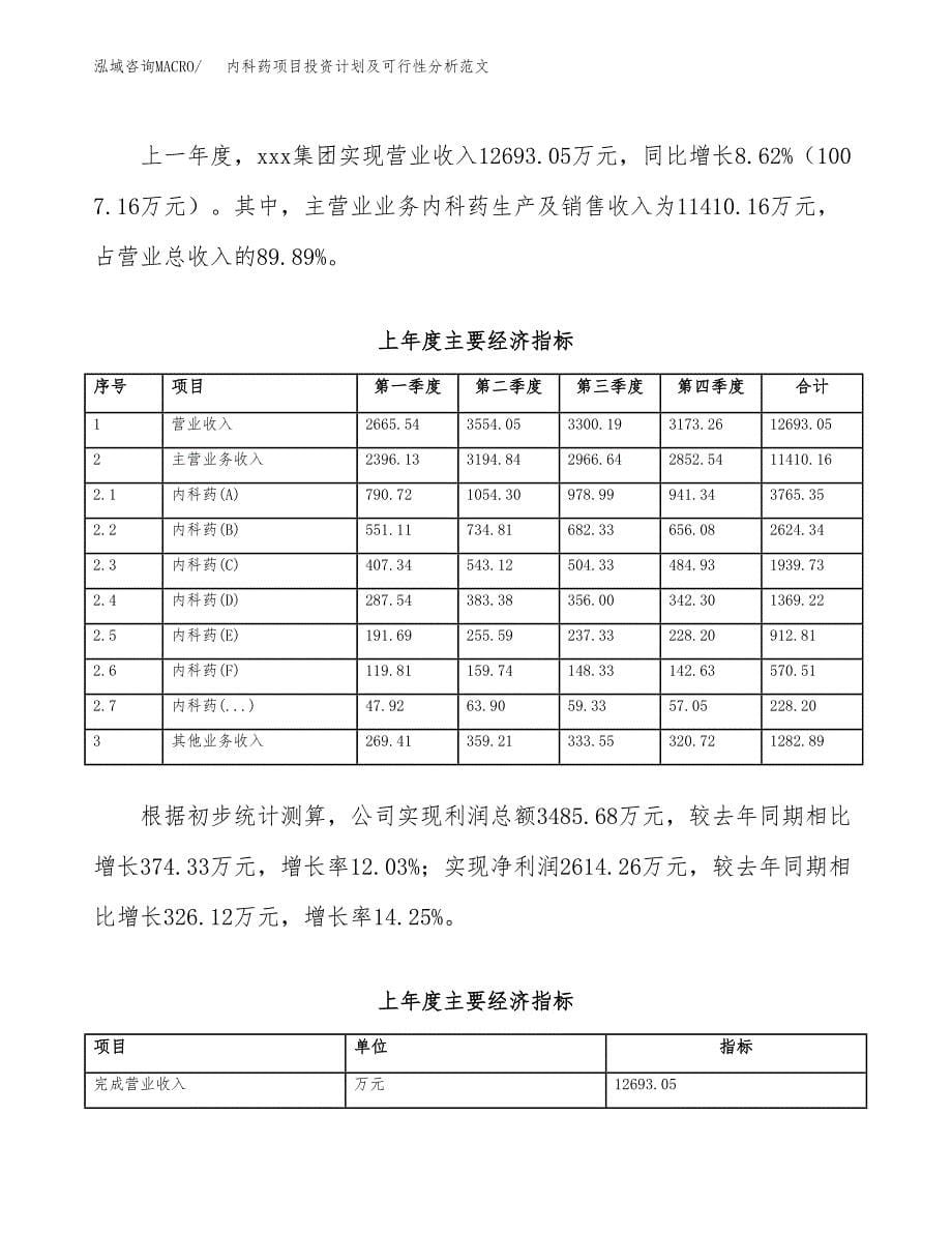 内科药项目投资计划及可行性分析范文_第5页