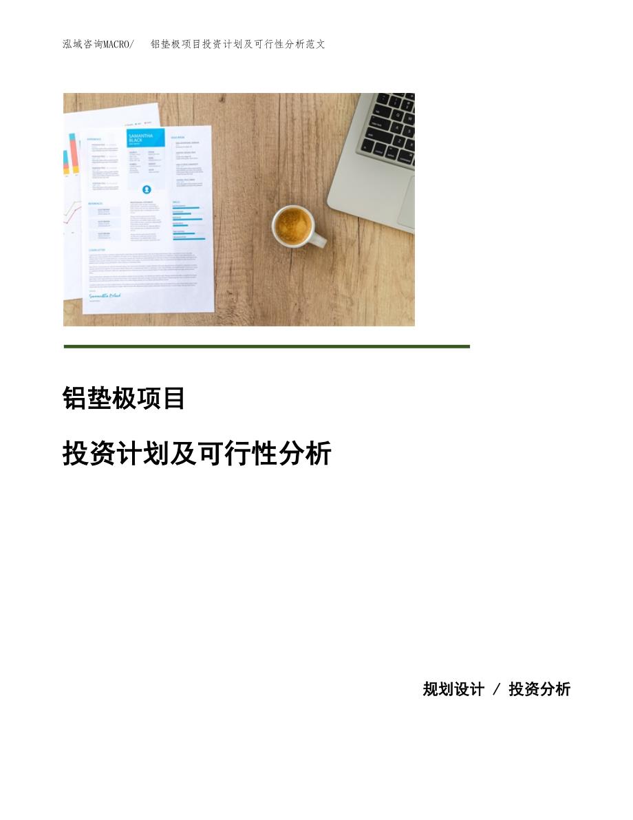 铝垫极项目投资计划及可行性分析范文_第1页