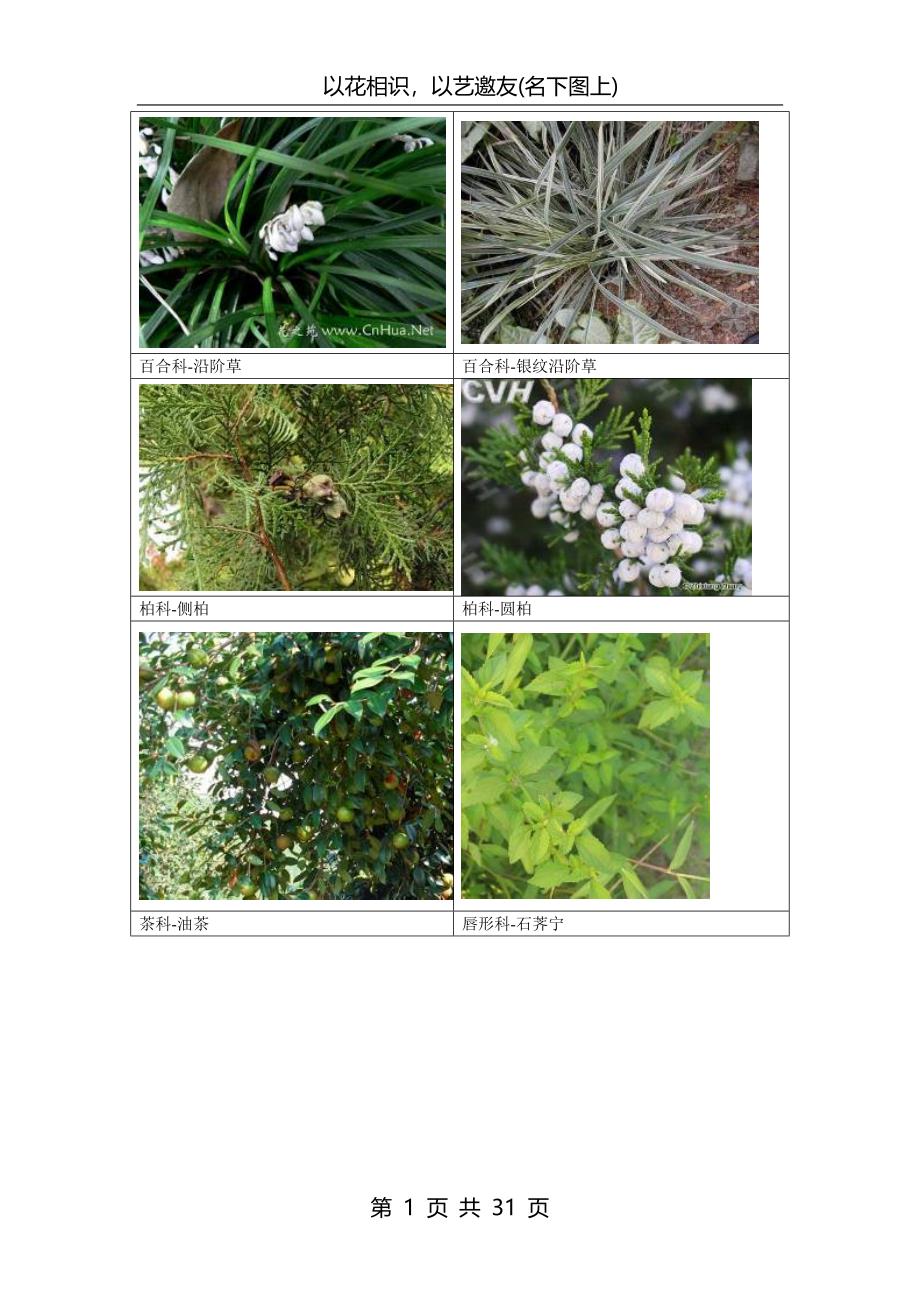 南方常见植物图谱.._第1页