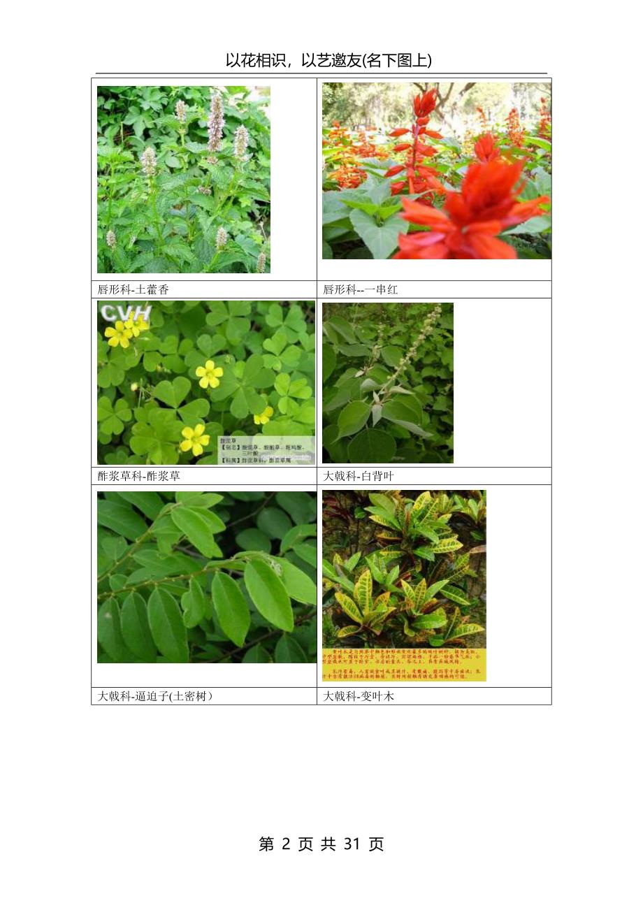 南方常见植物图谱.._第2页
