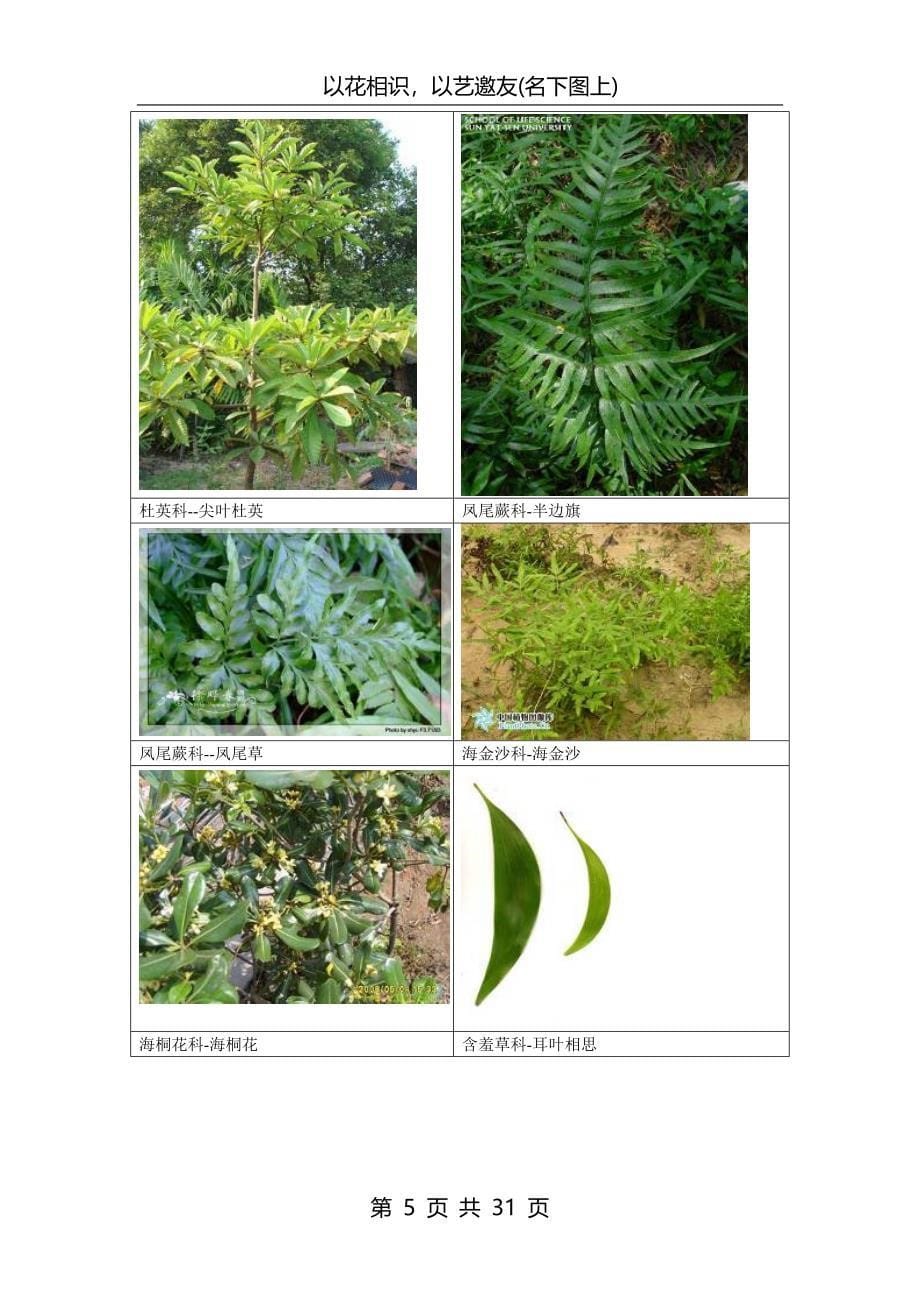 南方常见植物图谱.._第5页