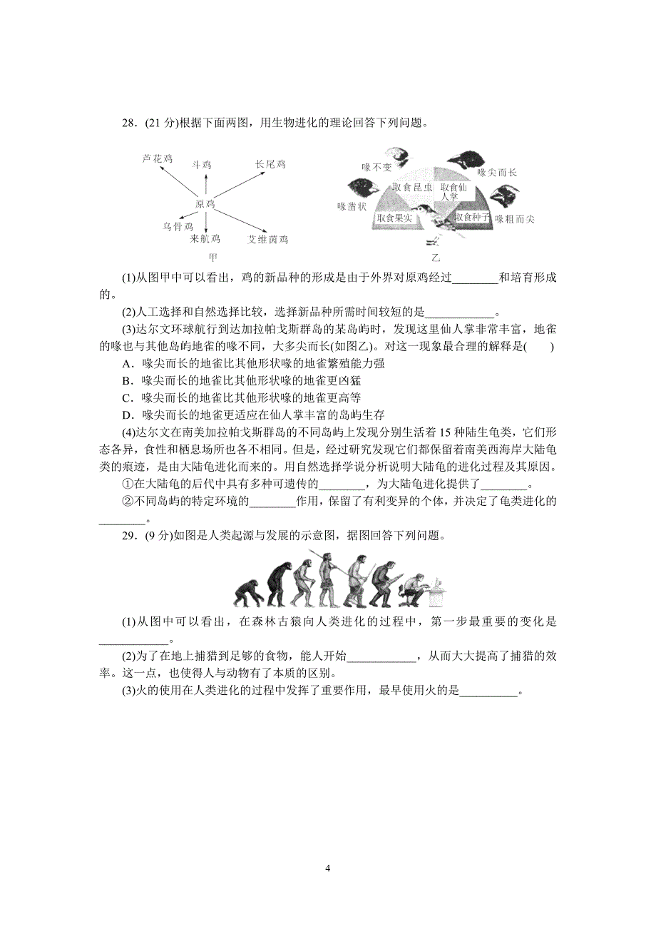 八年级下册同步测试题生命的发生和发展_第4页