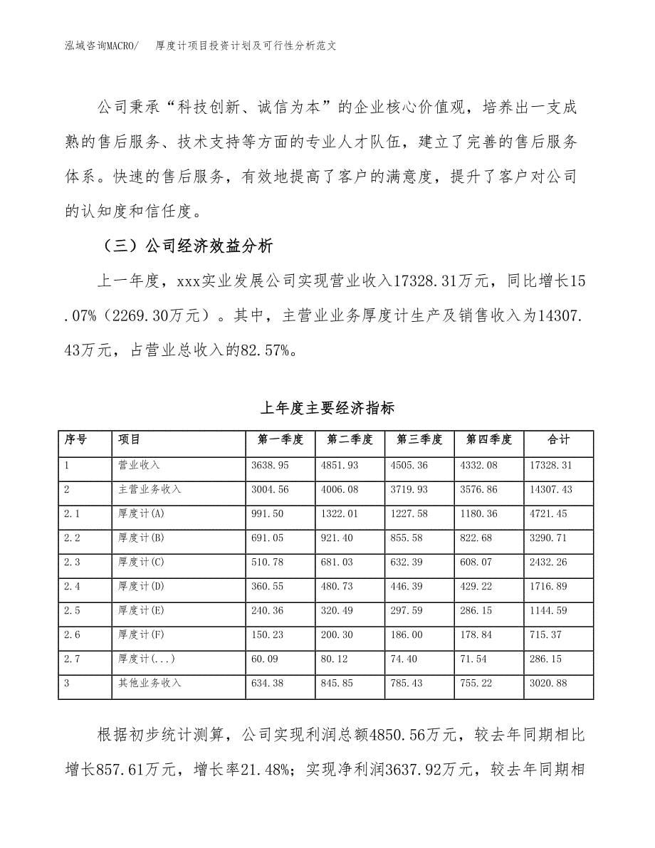 厚度计项目投资计划及可行性分析范文_第5页