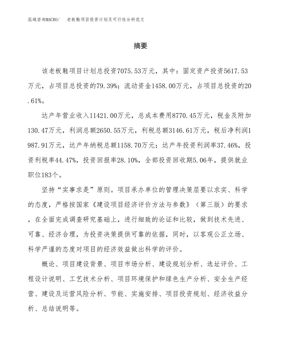 老板鞋项目投资计划及可行性分析范文_第2页