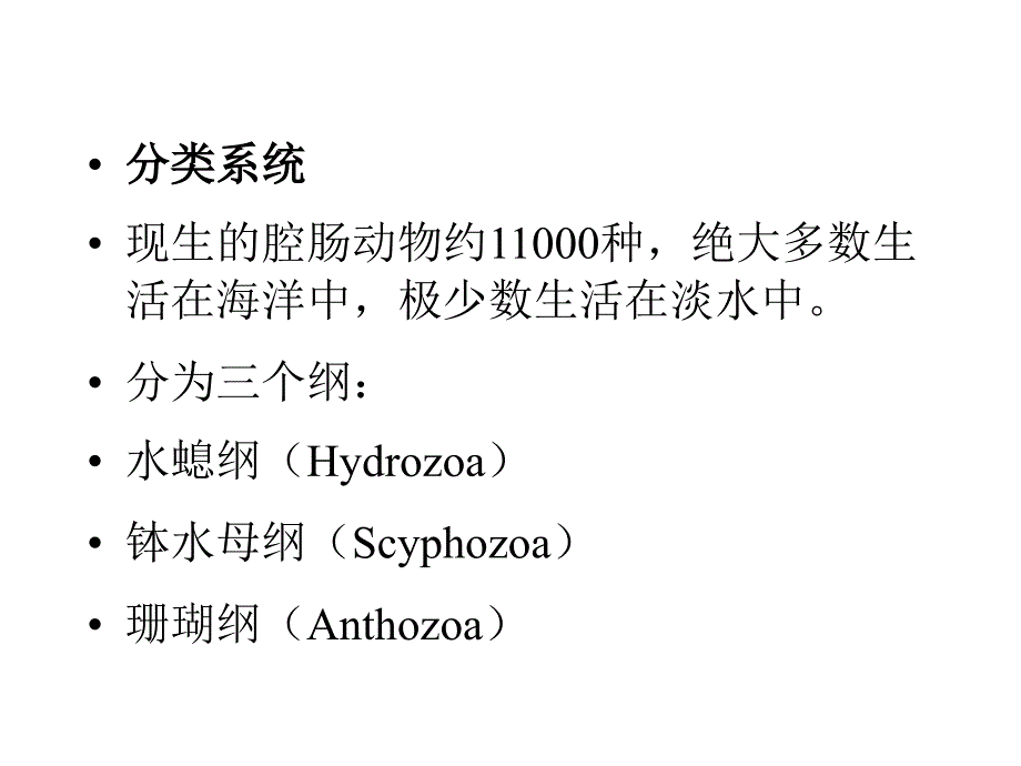 动物分类学_第3页