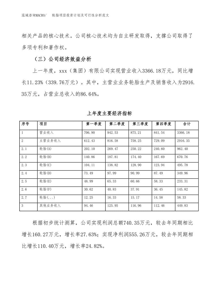 轮胎项目投资计划及可行性分析范文_第5页