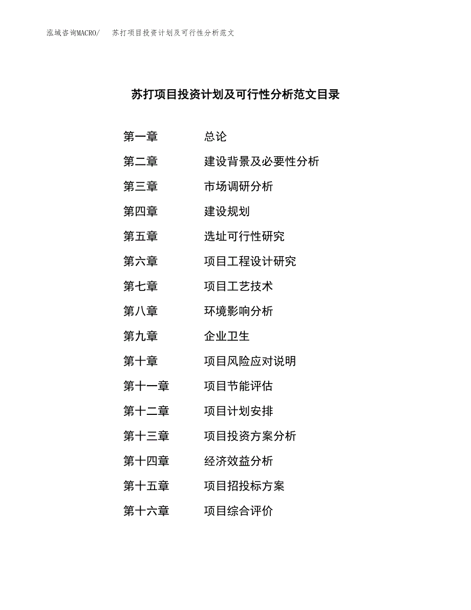 苏打项目投资计划及可行性分析范文_第3页