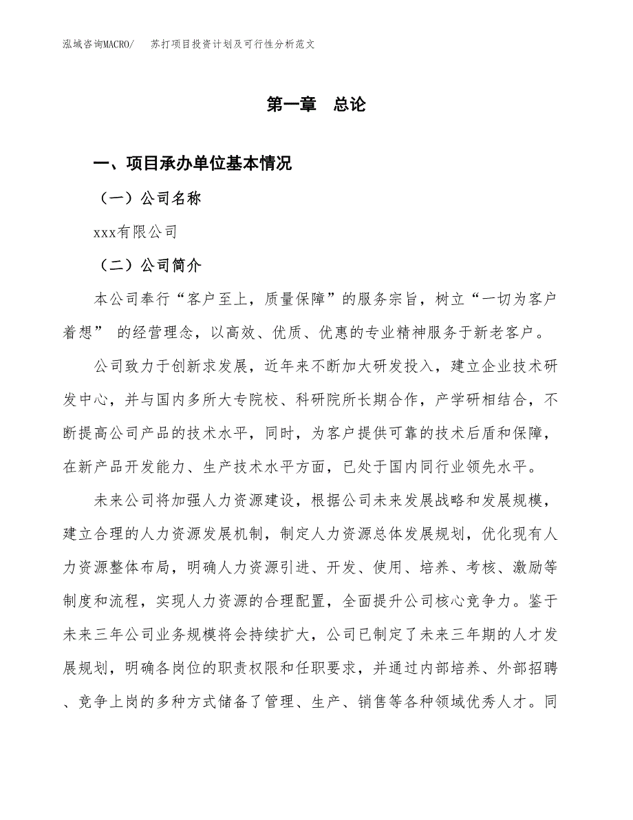 苏打项目投资计划及可行性分析范文_第4页