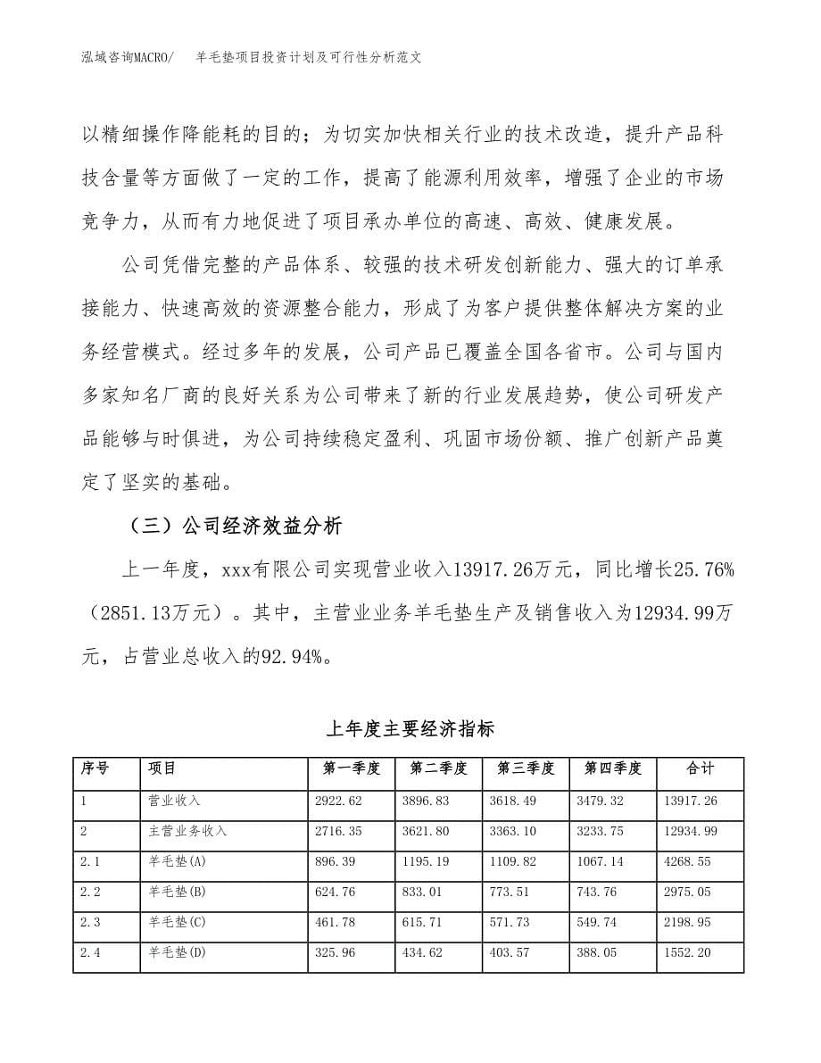 羊毛垫项目投资计划及可行性分析范文_第5页