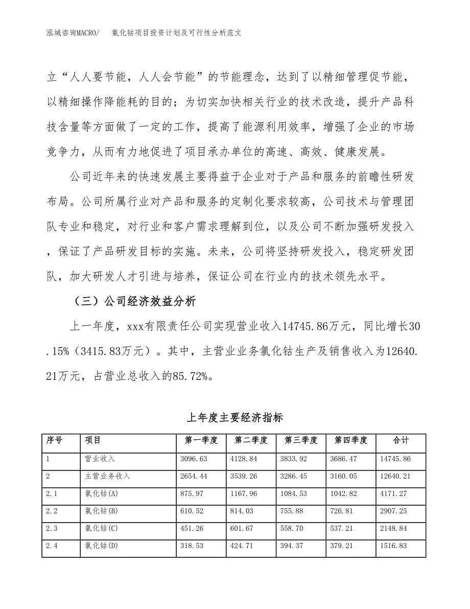 氯化钴项目投资计划及可行性分析范文_第5页