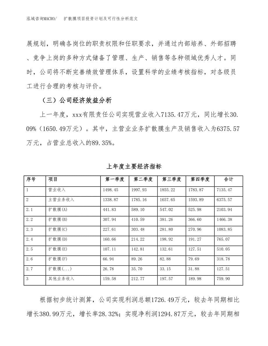 扩散膜项目投资计划及可行性分析范文_第5页