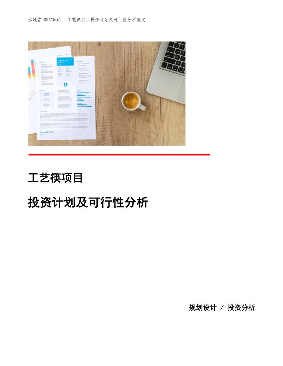 工艺筷项目投资计划及可行性分析范文_第1页