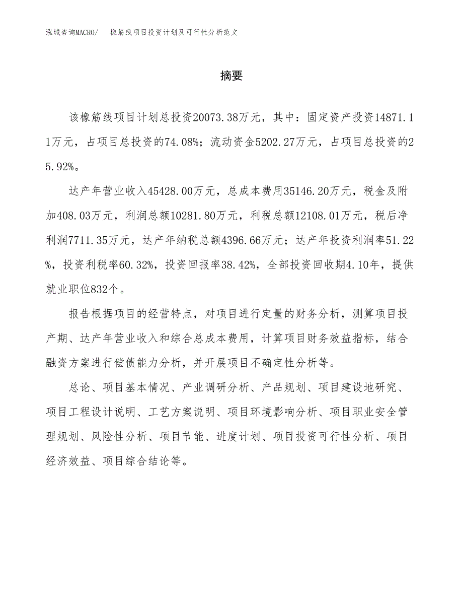 橡筋线项目投资计划及可行性分析范文_第2页