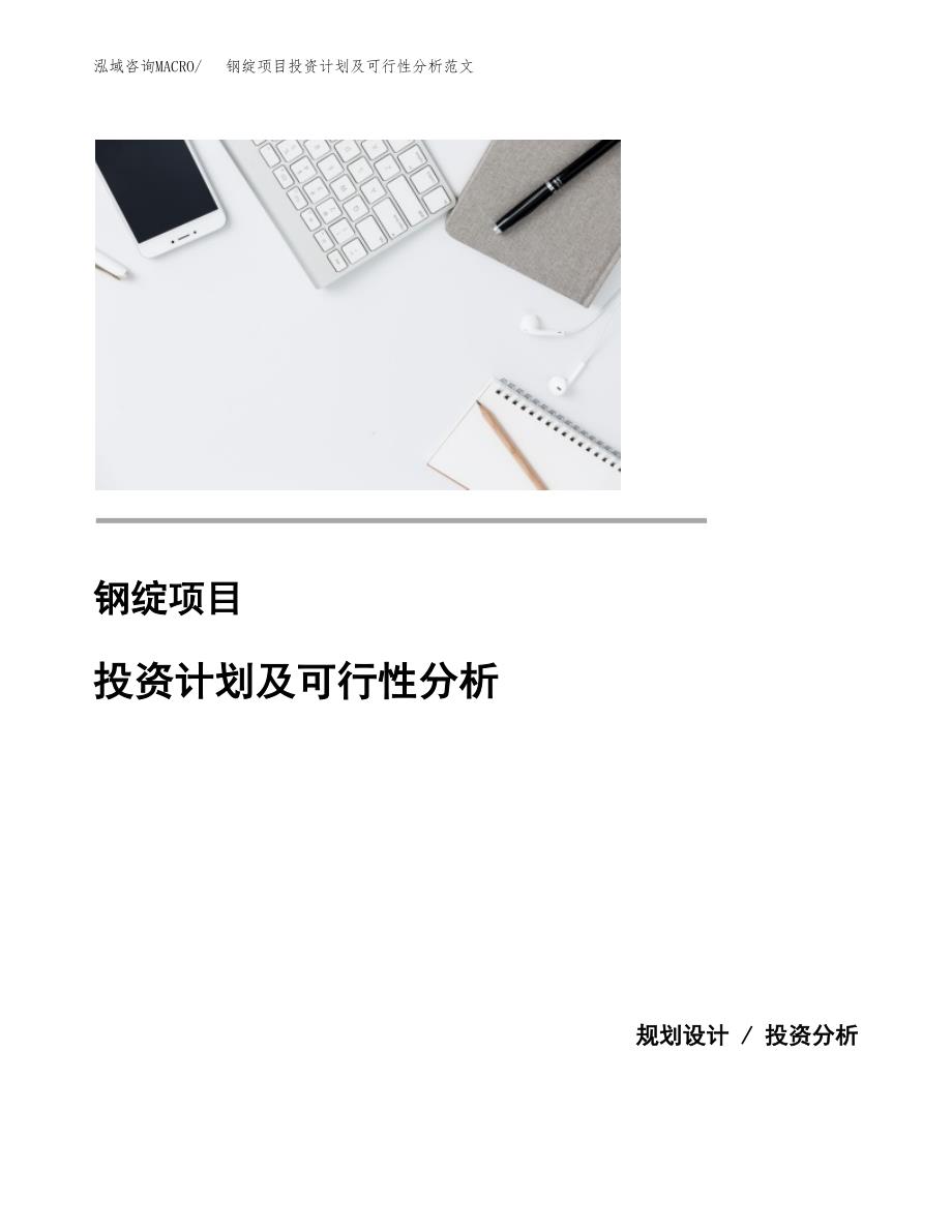 钢绽项目投资计划及可行性分析范文_第1页