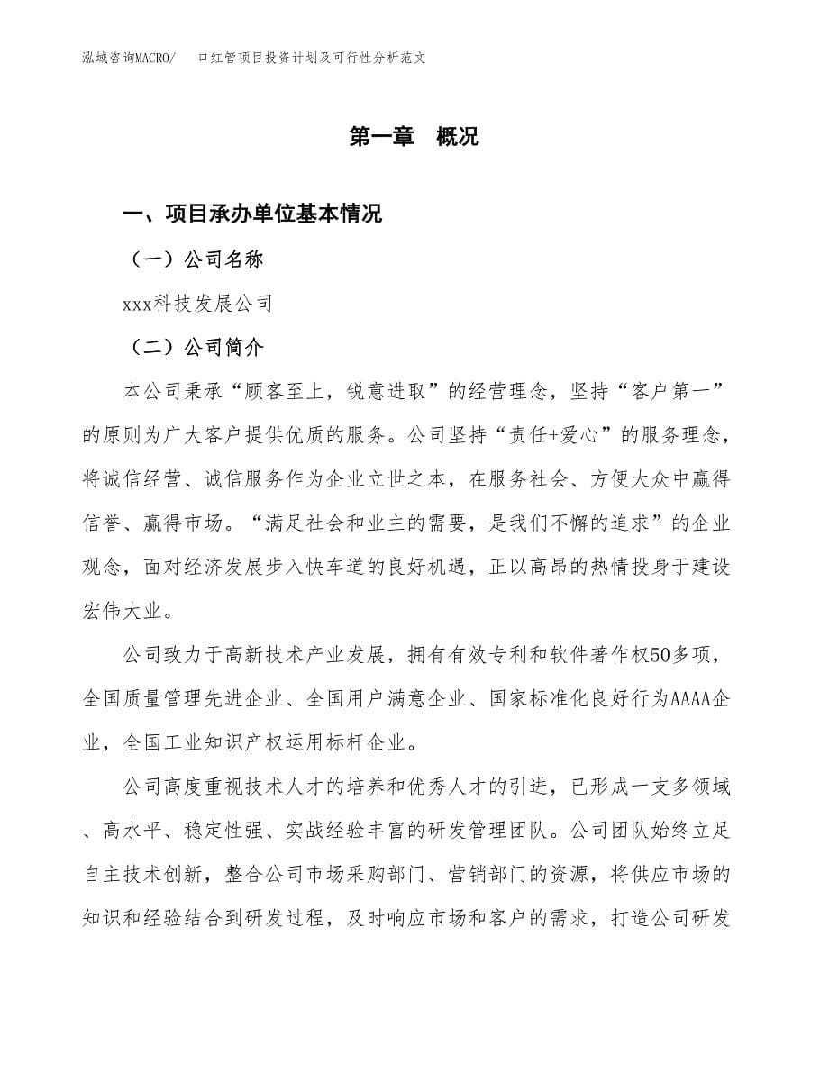 口红管项目投资计划及可行性分析范文_第5页