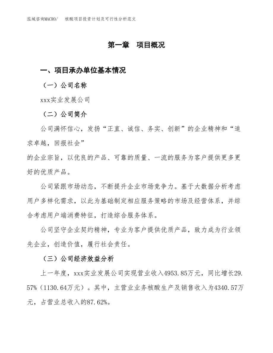 核酸项目投资计划及可行性分析范文_第4页