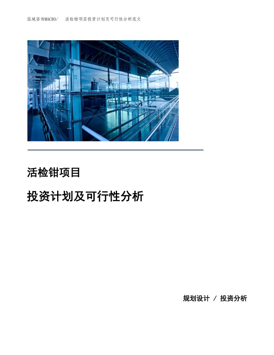 活检钳项目投资计划及可行性分析范文_第1页