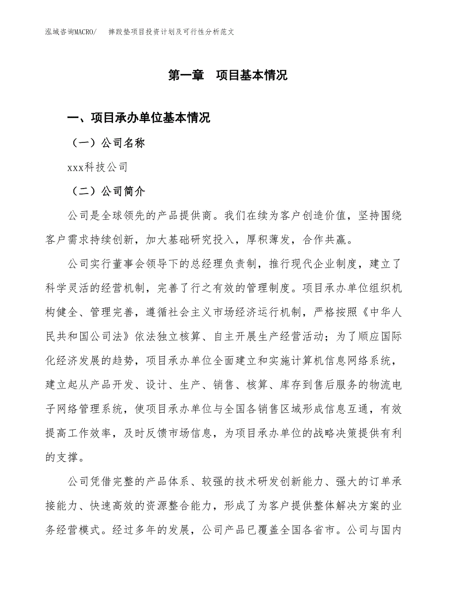 摔跤垫项目投资计划及可行性分析范文_第4页