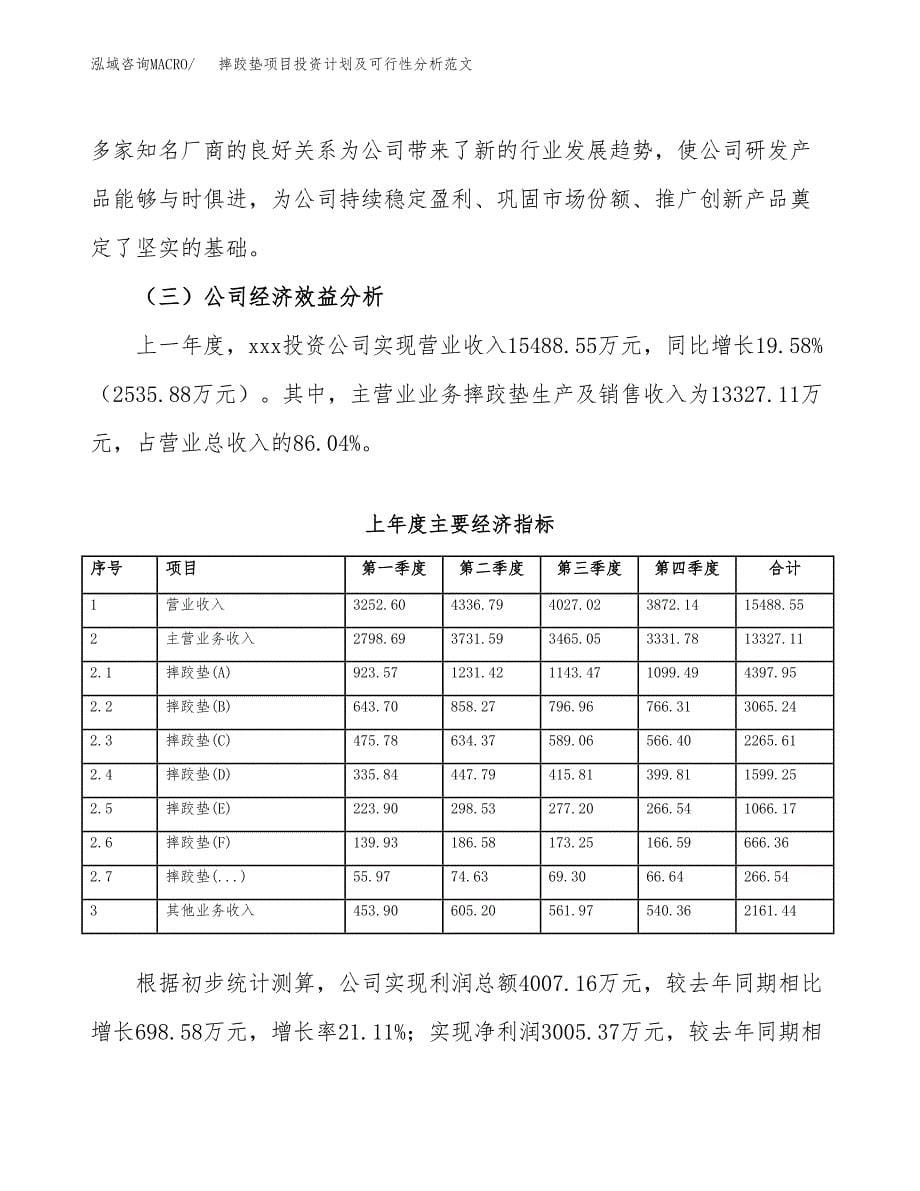 摔跤垫项目投资计划及可行性分析范文_第5页