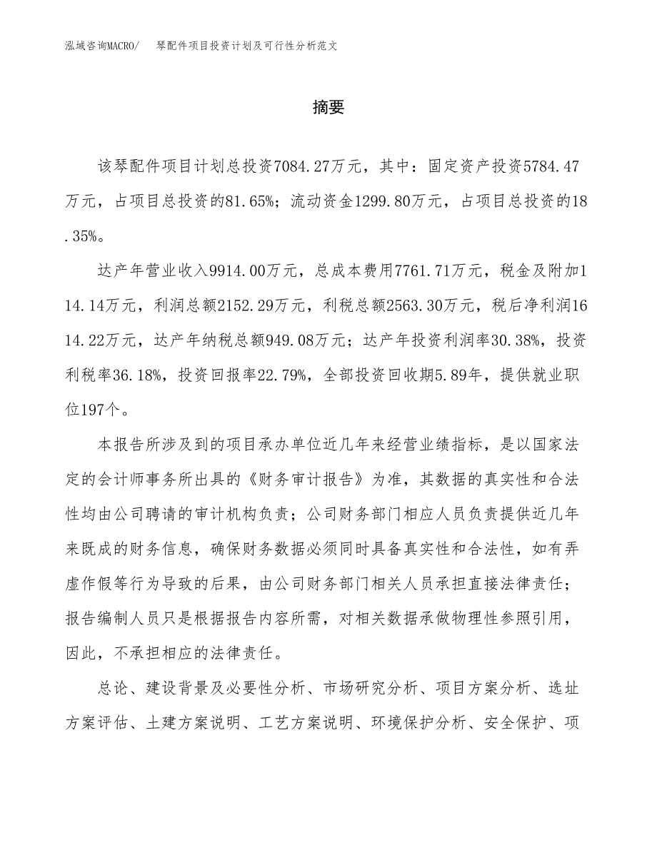 琴配件项目投资计划及可行性分析范文_第2页