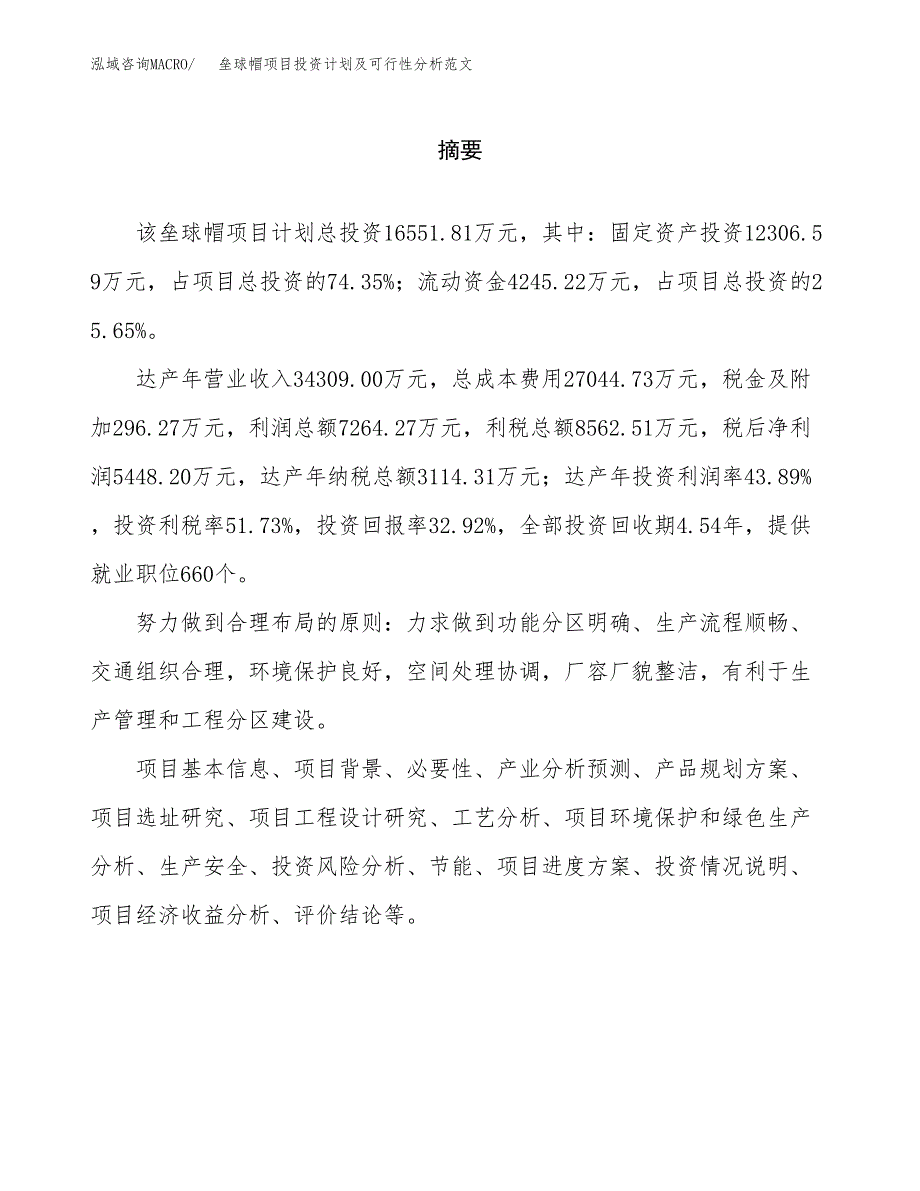 垒球帽项目投资计划及可行性分析范文_第2页