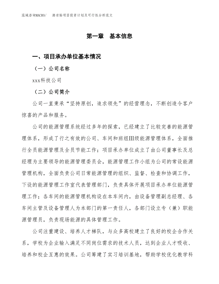 清凉贴项目投资计划及可行性分析范文_第4页