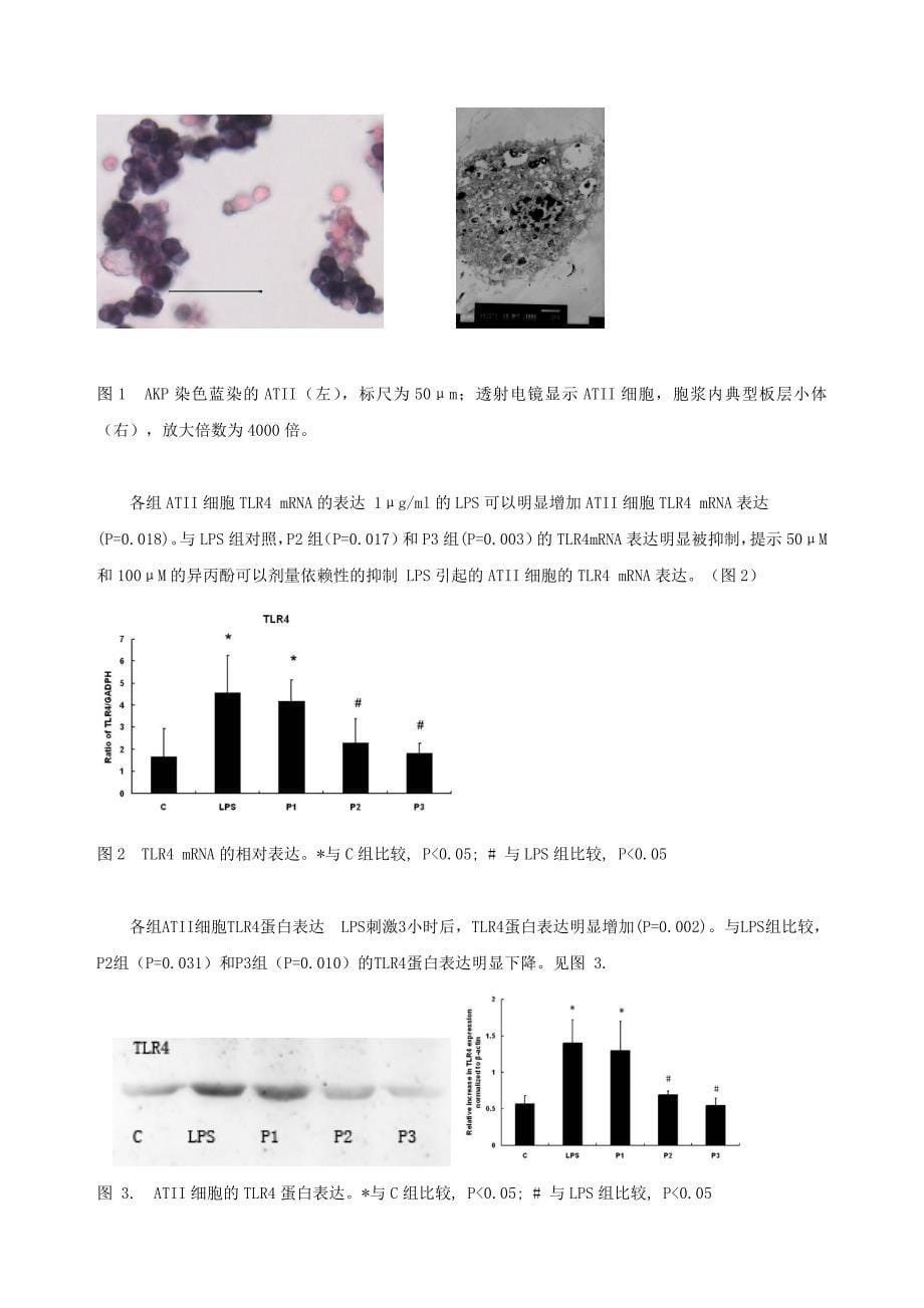 方法与材料_第5页