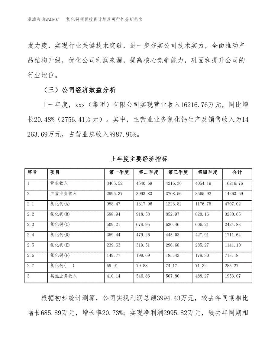 氯化钙项目投资计划及可行性分析范文_第5页