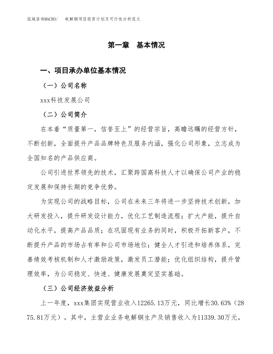 电解铜项目投资计划及可行性分析范文_第4页