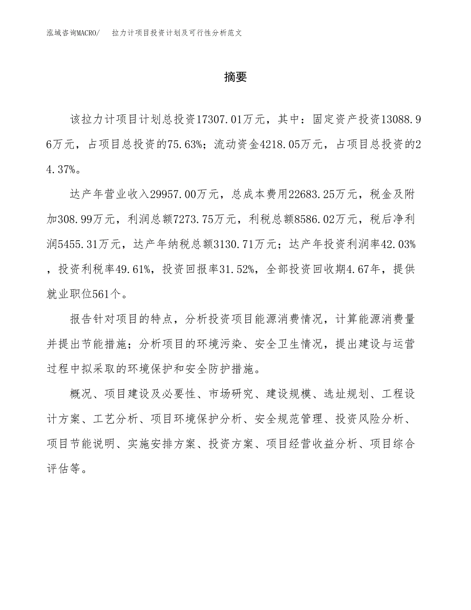 拉力计项目投资计划及可行性分析范文_第2页