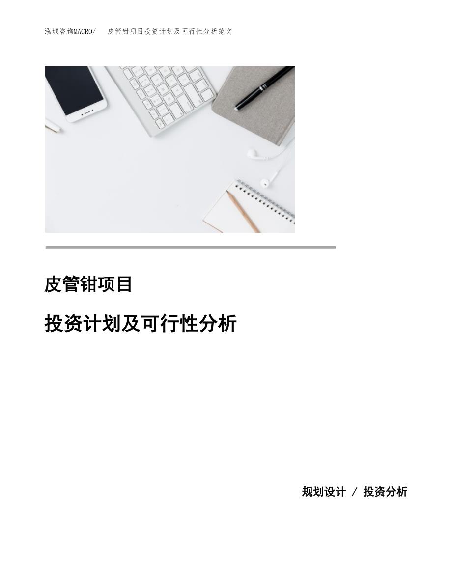 皮管钳项目投资计划及可行性分析范文_第1页