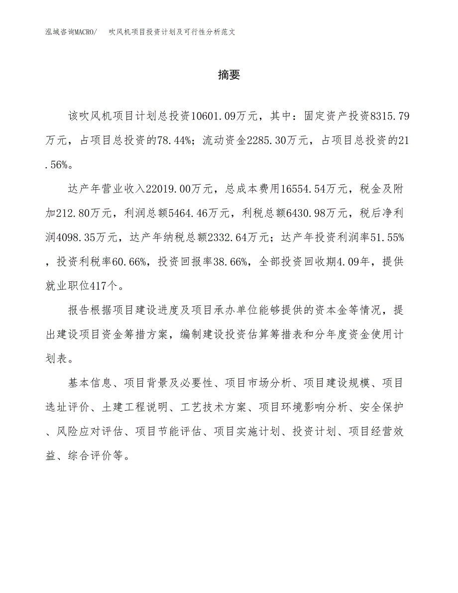 吹风机项目投资计划及可行性分析范文_第2页