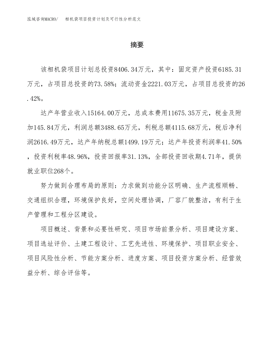 相机袋项目投资计划及可行性分析范文_第2页