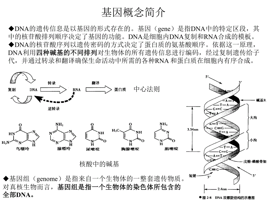 基因测序技术基本概念及行业简介_第2页