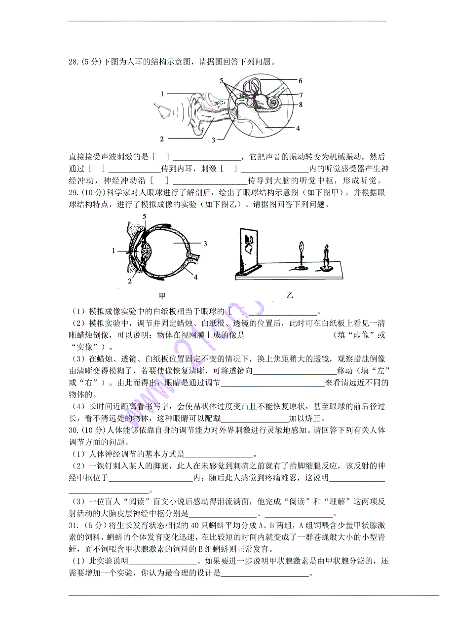 七年级生物下册(北师大版)第四单元 第十二章检测题_第4页