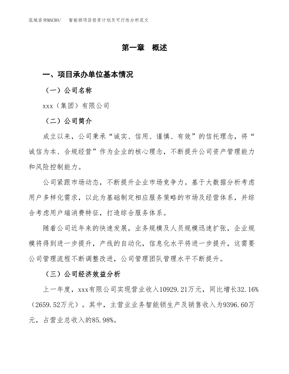 智能锁项目投资计划及可行性分析范文_第4页