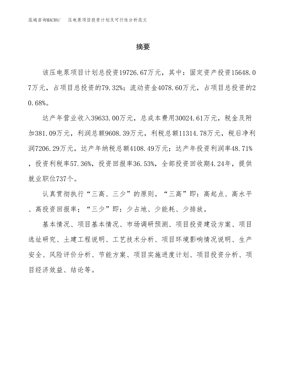 压电泵项目投资计划及可行性分析范文_第2页