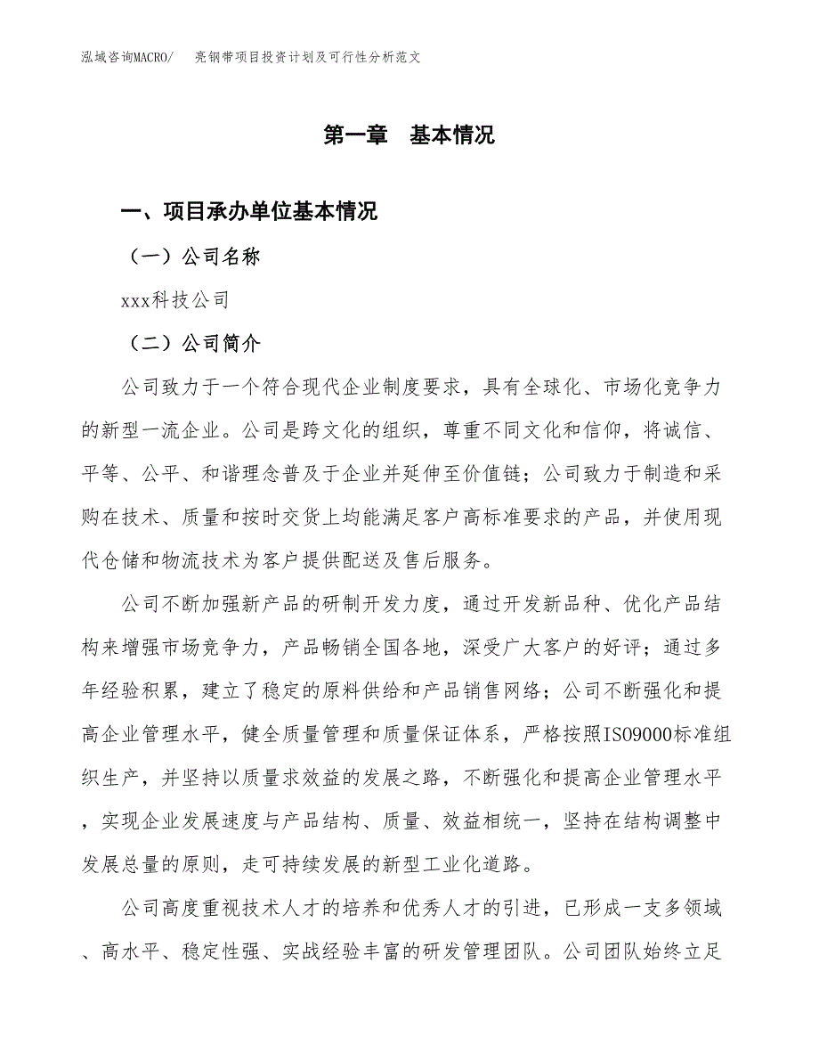 亮钢带项目投资计划及可行性分析范文_第4页