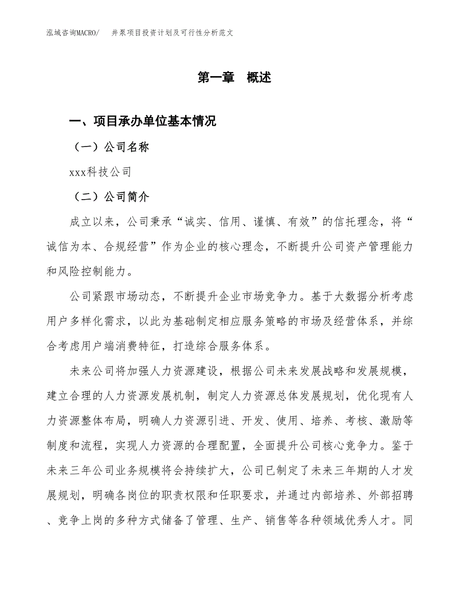 井泵项目投资计划及可行性分析范文_第4页