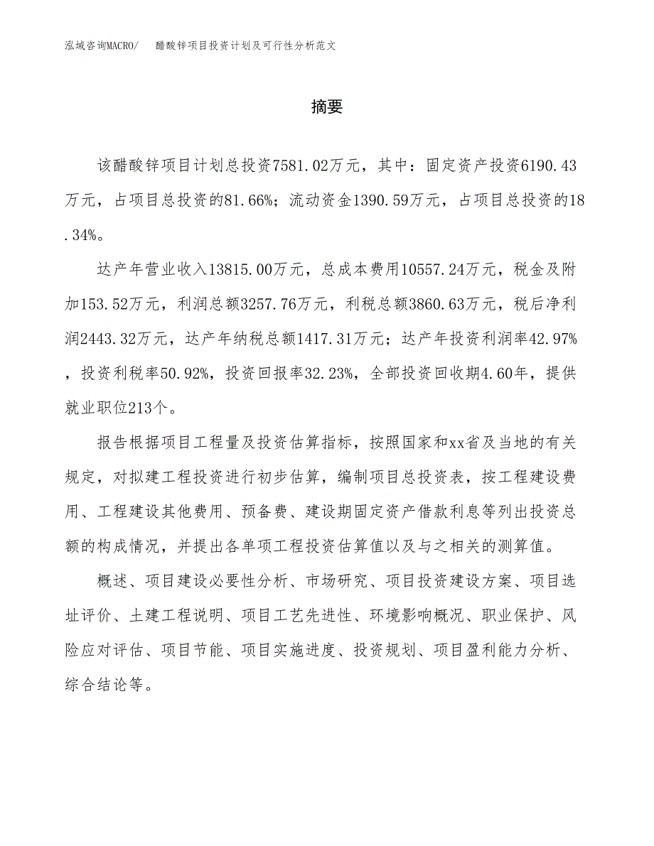 醋酸锌项目投资计划及可行性分析范文_第2页