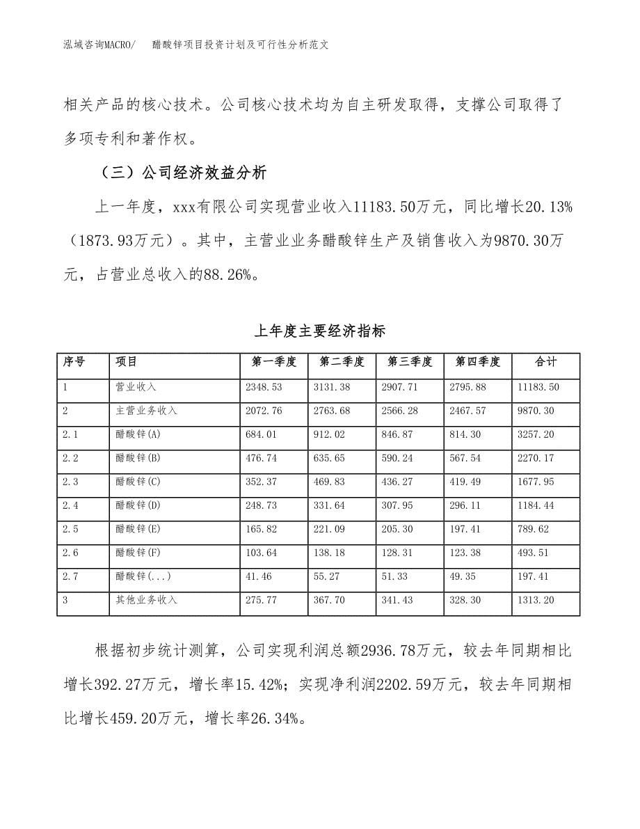 醋酸锌项目投资计划及可行性分析范文_第5页