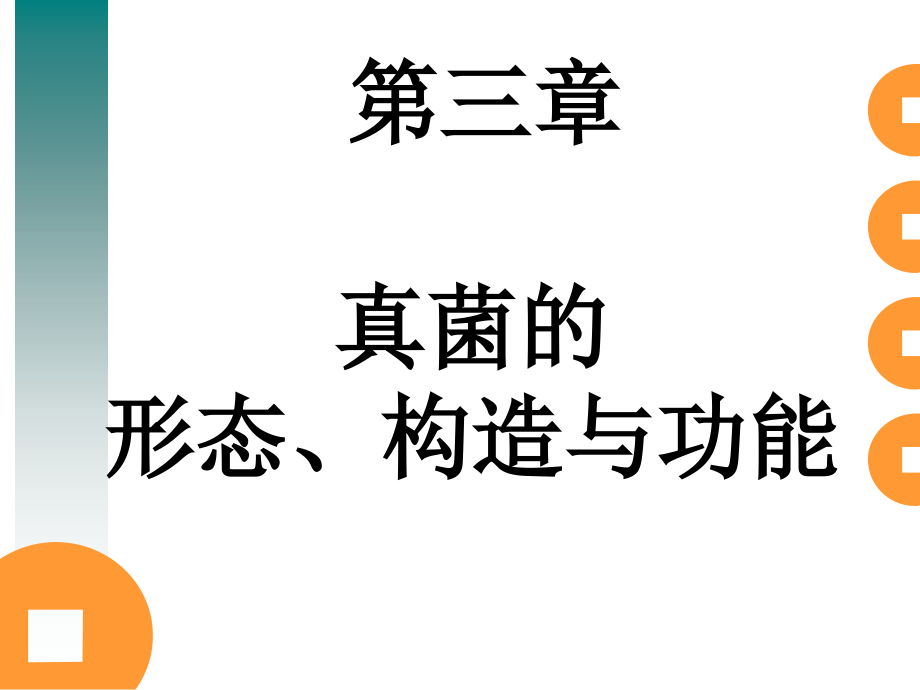 真核生物的形态、构造与功能-工业微生物学课件-03_第1页