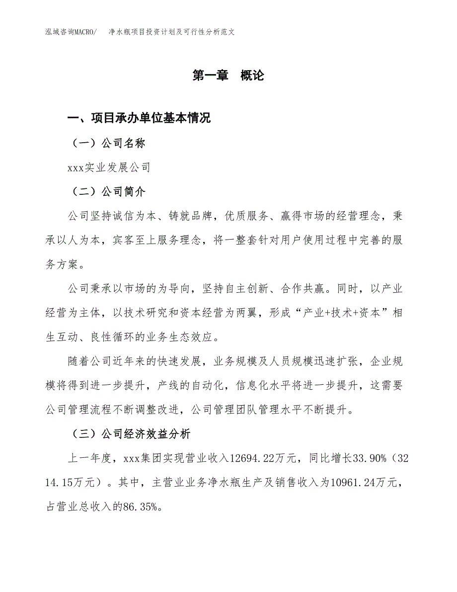 净水瓶项目投资计划及可行性分析范文_第4页